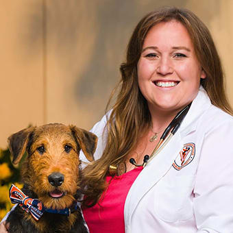 Dr. Jessica A. Austin, Lexington Emergency Veterinarian