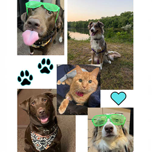 Dr. Mikaela Thomason, Lexington Emergency Veterinarian